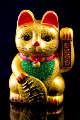 Ceramic lucky cat shop with moving hand