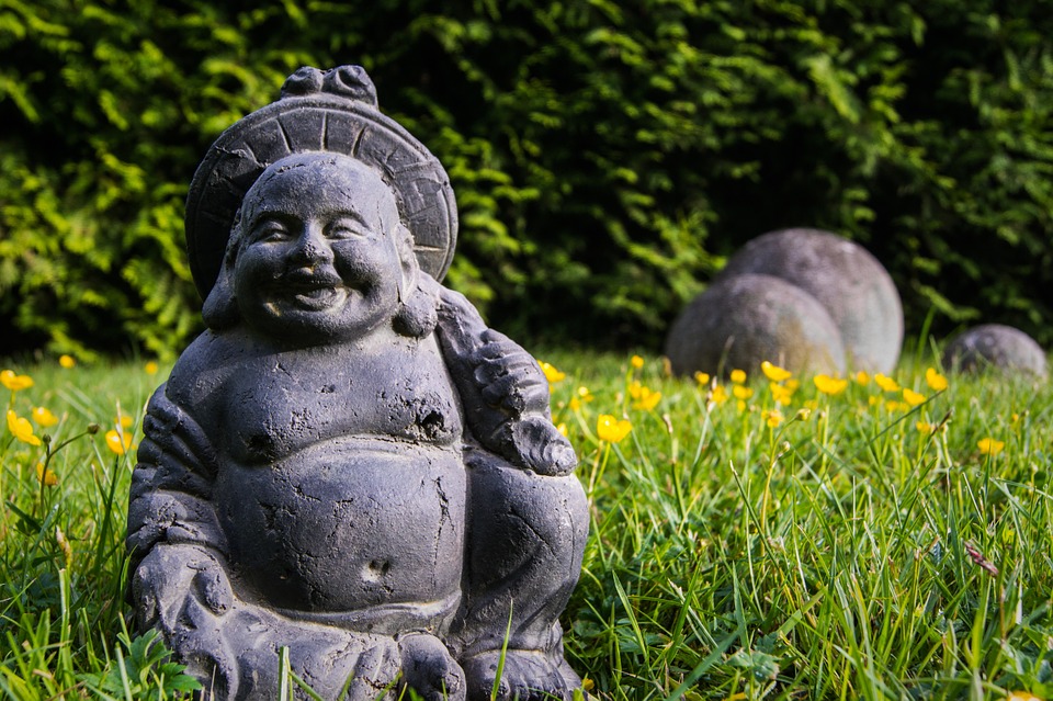 nature, grass, green, elements, buddha