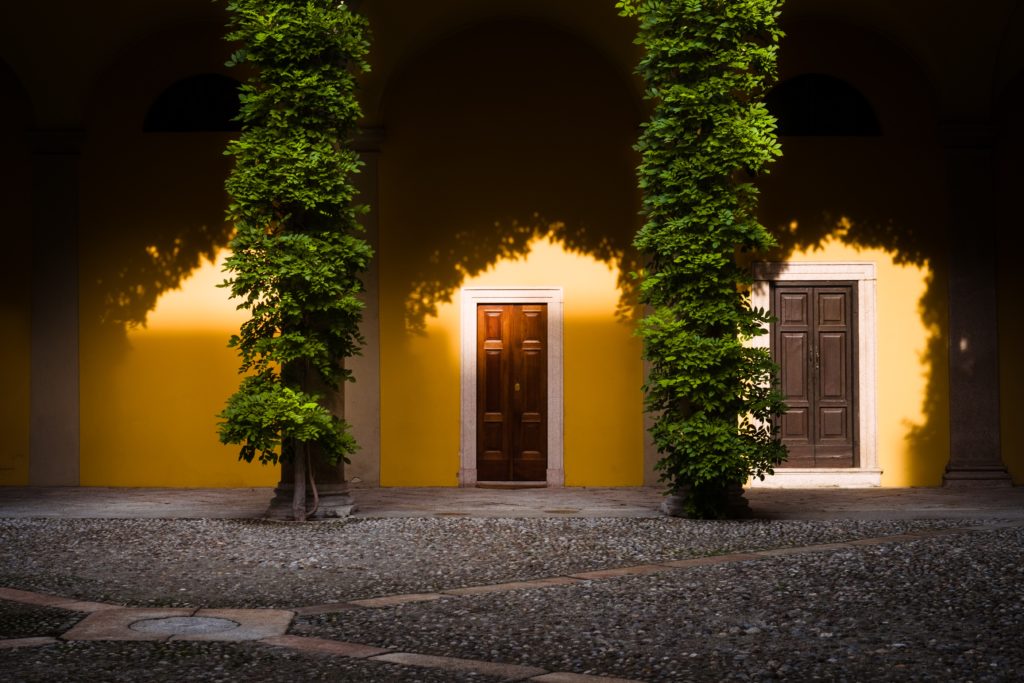 front, front door, home, entrance, yellow, yellow paint, paint, bright, vines