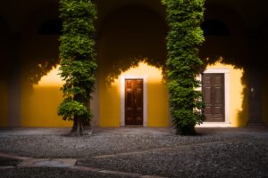 front, front door, home, entrance, yellow, yellow paint, paint, bright, vines