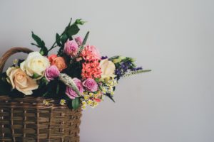 flowers, fresh, color