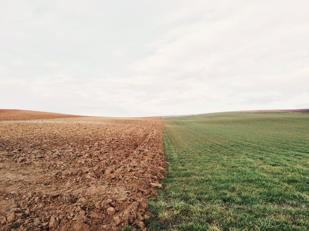 fields photo of the earth on the ground